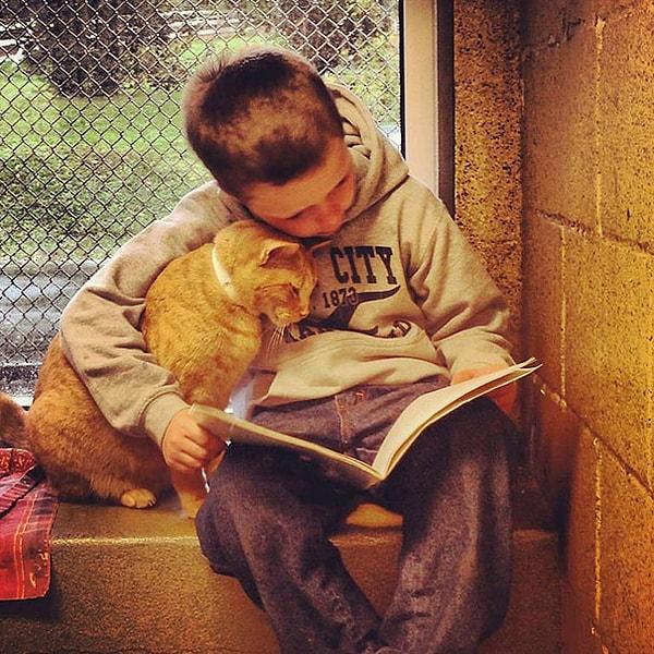 16. Barınakta yaşayan bir kediye kitap okuyan bu çocuk.