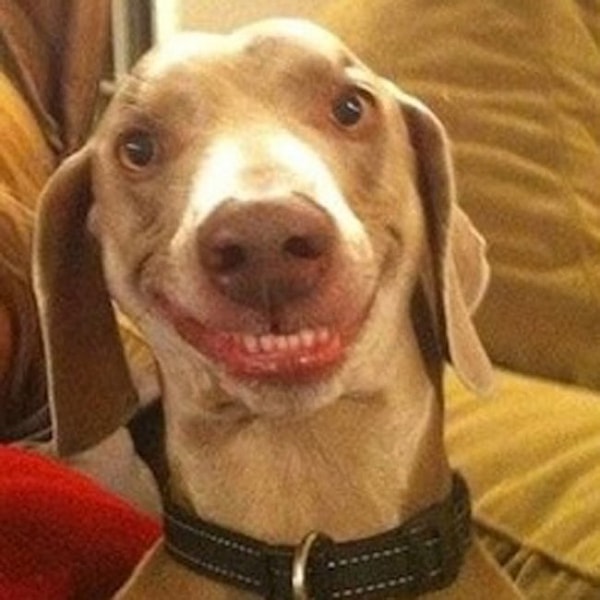 15. Крутое селфи вышло!