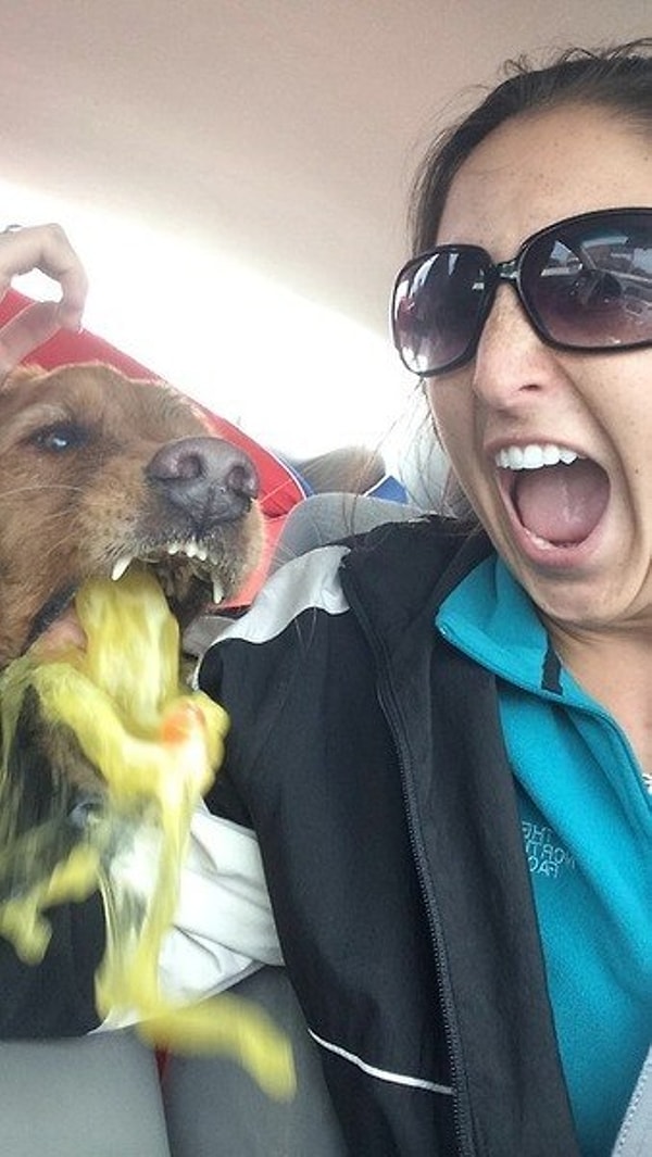 7. Только дворняга скажет все, что думает о твоем селфи.