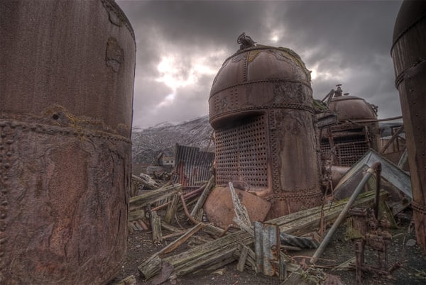 12. Остров Десепшен, Антарктика