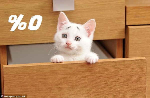 В твоем характере 0% кошки