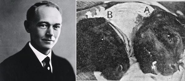 22. Charles Claude Guthrie, bir köpeğin başını başka bir köpeğin boynuna dikerek iki başlı bir köpek yarattı.