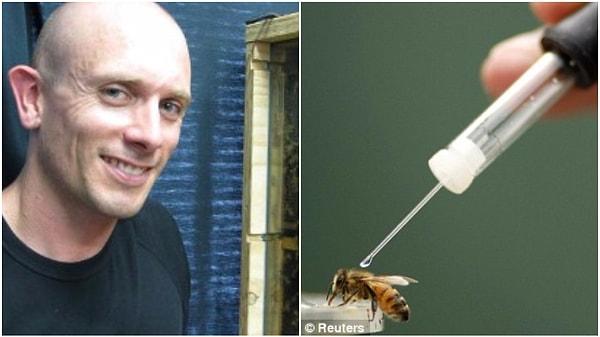 4. Illinois Üniversitesi ve Avustralya'daki Macquarie Üniversitesi'ndeki araştırmacılar bir grup arıya kokain verdikten sonra onları şeker aramaya yolladı.
