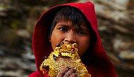 Непальские Винни-Пухи: знакомимся с древней традицией добычи меда