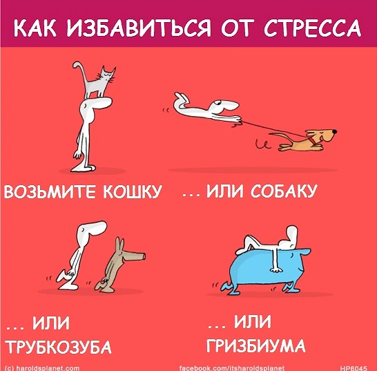 Как бороться со стрессом: способы, методы и средства