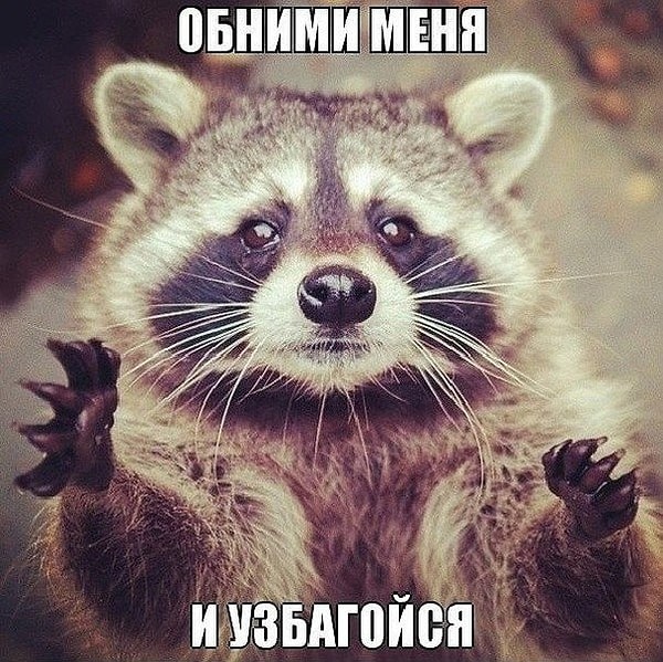 33. И, наконец, расслабьтесь - знайте, что никто на самом деле не знает, что нужно делать.
