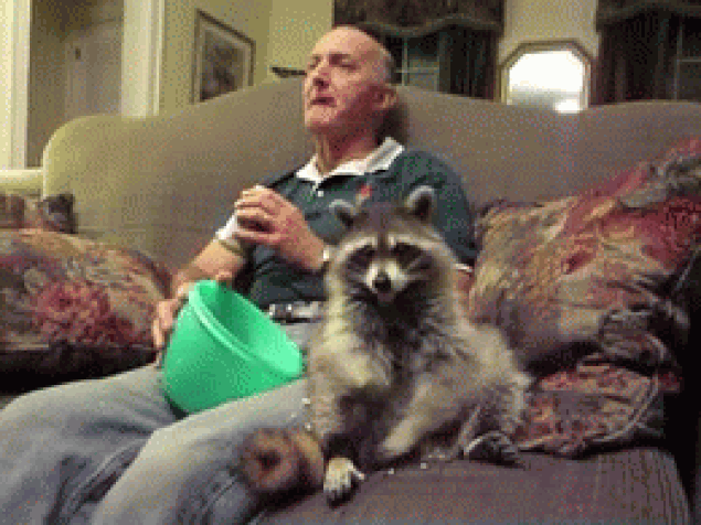 20 Things You Know Well If Love Animals More Than Humans You Prefer Watching Tv And Cuddling With Your Pet At Home Rather Than Going Out Friends