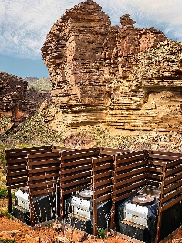 6. Tonto Trail, Национальный парк Гранд-Каньон