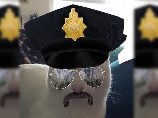 Кошки и собаки осваивают новые фильтры для селфи от Snapchat