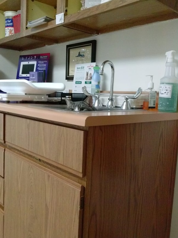 3. "Пусть все немного успокоится, и тогда я выйду..."