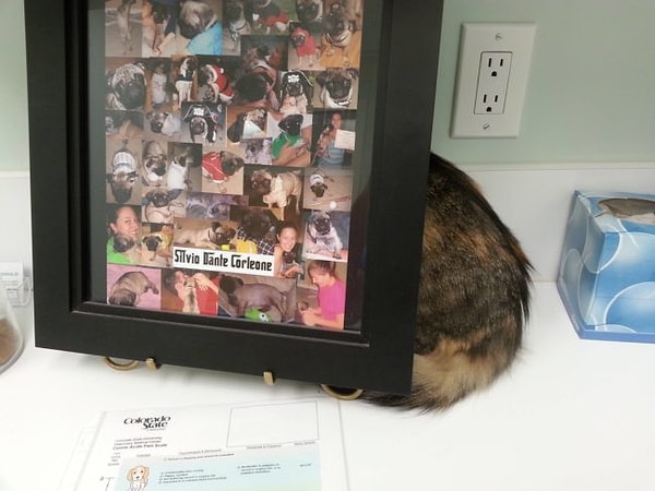 6. "До завтра тут посижу..."