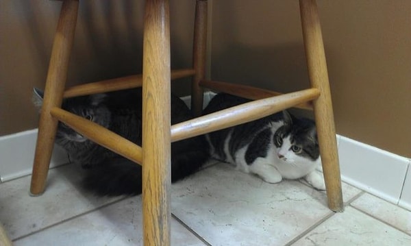 16. "Что, и тебя тоже сюда притащили?"