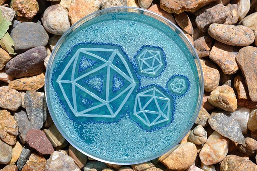 Mikrop Deyip Geçme! Renkli Bakteri ve Virüslerden Meydana Getirilen 13 Bio-Art Çalışması