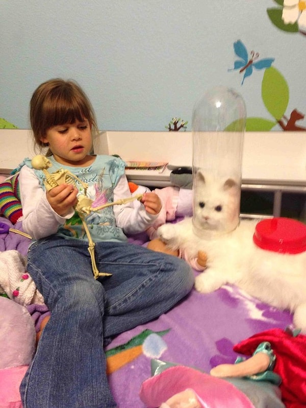 1. То чувство, когда с детства пристрастился к науке