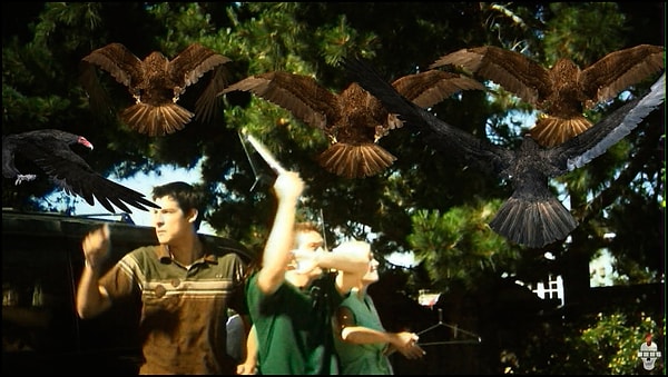 7. Птицекалипсис: Шок и Трепет