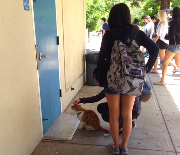 11. Но, в целом, Бубба вполне доволен жизнью: его там все очень любят.