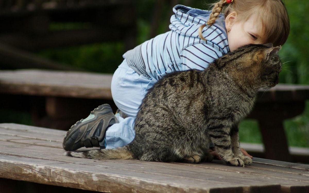 25 Good Reasons Why We All Need A Cat In Our Lives! - onedio.co