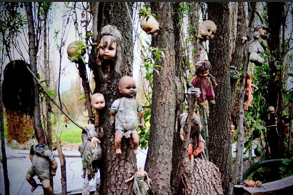 6. Zamanla bu olayı takıntı haline getirmeye başlayan Santana, adada ne kadar ağaç varsa hepsini oyuncak bebeklerle doldurmaya başlıyor.