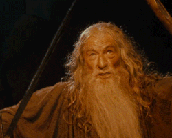 Which Awesome LoTR Character Are You?!