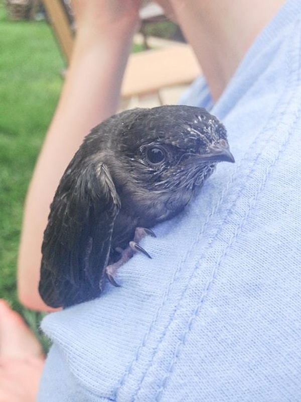 3. Малютка с серьезным взглядом