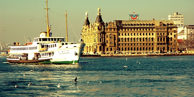 5. Uzaylı muamelesi yapan Avrupa Yakalı arkadaş