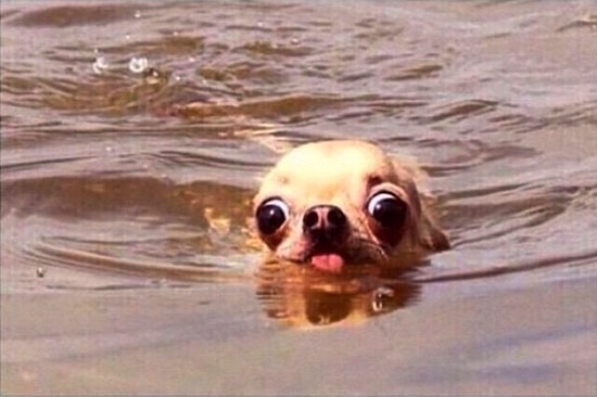 23 самых худших ощущения