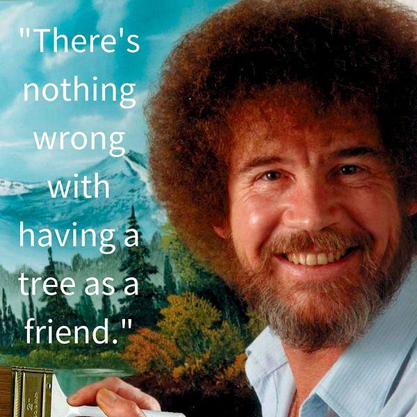 6. Go out there, talk to a tree. Be friends with them. There's nothing wrong with having a tree as a friend.