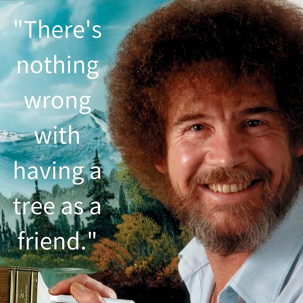 6. Go out there, talk to a tree. Be friends with them. There's nothing wrong with having a tree as a friend.