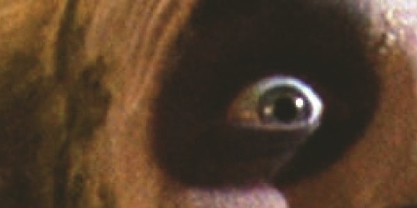 13. Эти глаза невозможно забыть!