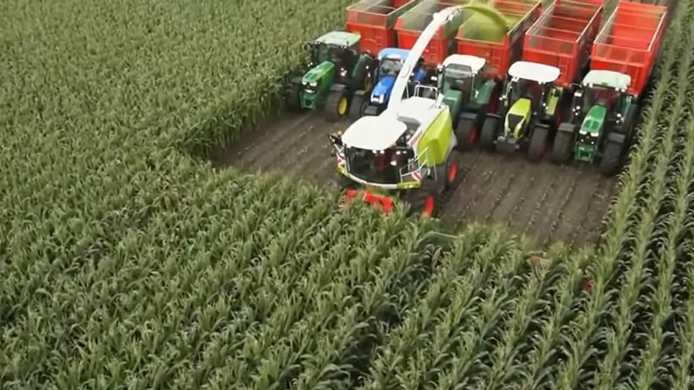 İzlemesi Anlamsızca Tatmin Edici Olan 16 Video