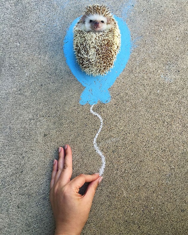 Onun bu tatlı dişleri sayesinde Instagram'da yaklaşık 30 bin takipçisi var 🎈