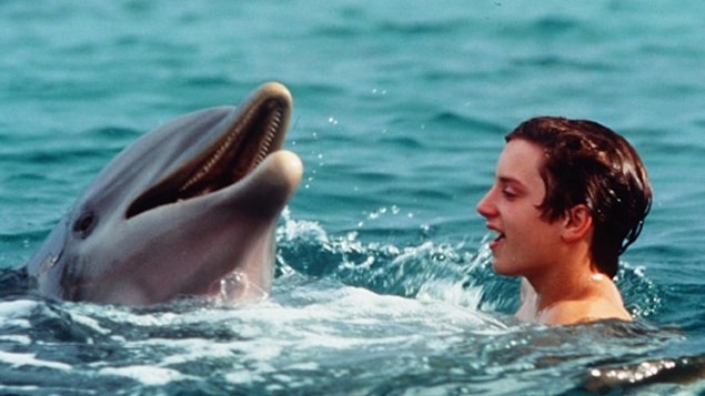 4. Flipper