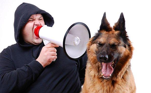 1. Hayvan davranışı uzmanlarına göre havladığı zaman köpeğinize bağırmak onun daha da fazla havlamasına sebep oluyor çünkü onu onayladığınızı sanıyor.