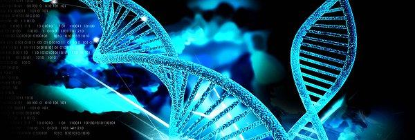 14. Genetik Mühendisliği