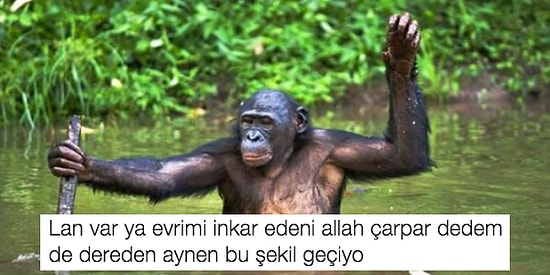En Komik Görselli Tweet Yarışmasında Yarı Final