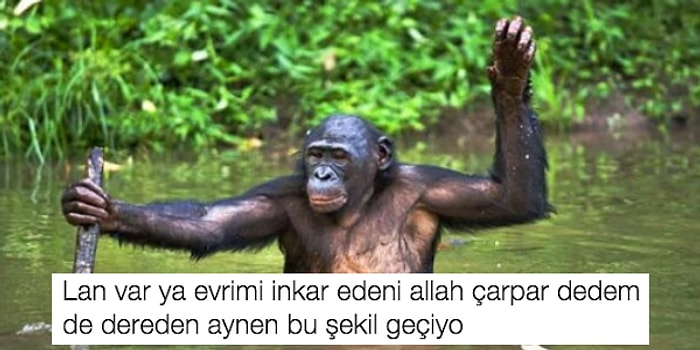 En Komik Görselli Tweet Yarışmasında Yarı Final