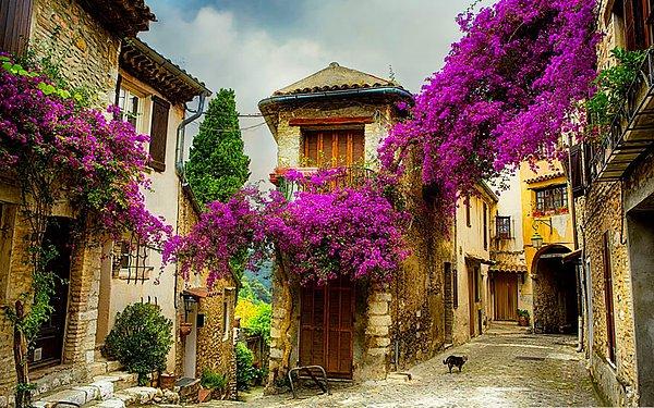 1. Provence, Fransa