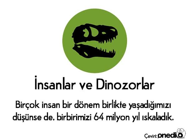 8. Dinozor görenler varmış. 🐉
