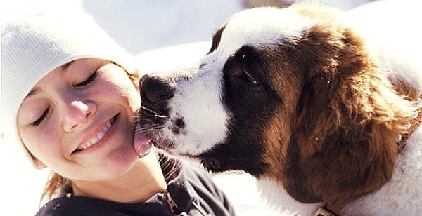 11. "Köpeğim çok sevgi dolu, beni öpücüklerle sırılsıklam yapıyor."