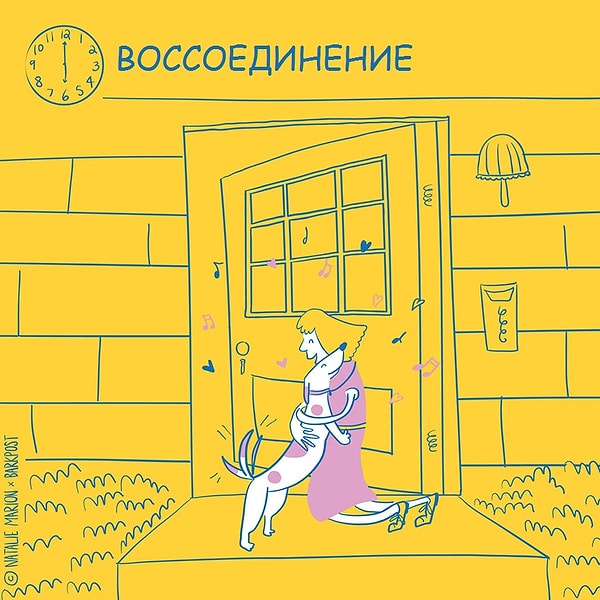 8. Долгожданное воссоединение!