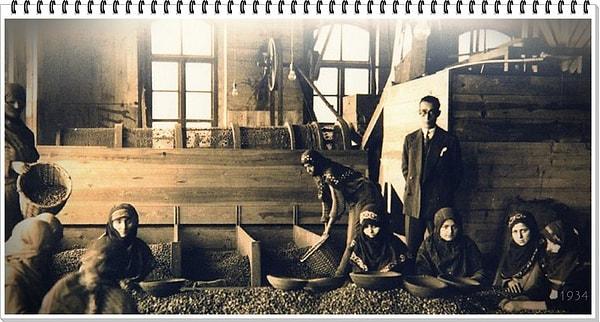 28. GİRESUN - "İçhane" denilen Küçük ölçekli, Fındık işleme fabrikaları, 1934