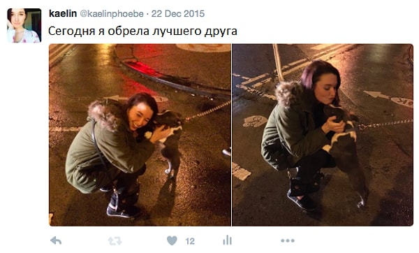 2. Этот милаха заводит новых друзей, куда бы ни пошел