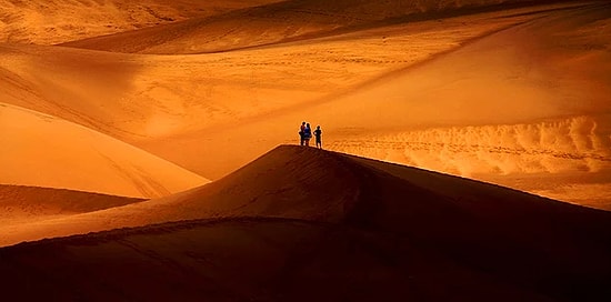 Эти 24 снимка с конкурса National Geographic 2016 обязательно оставят след в вашей памяти