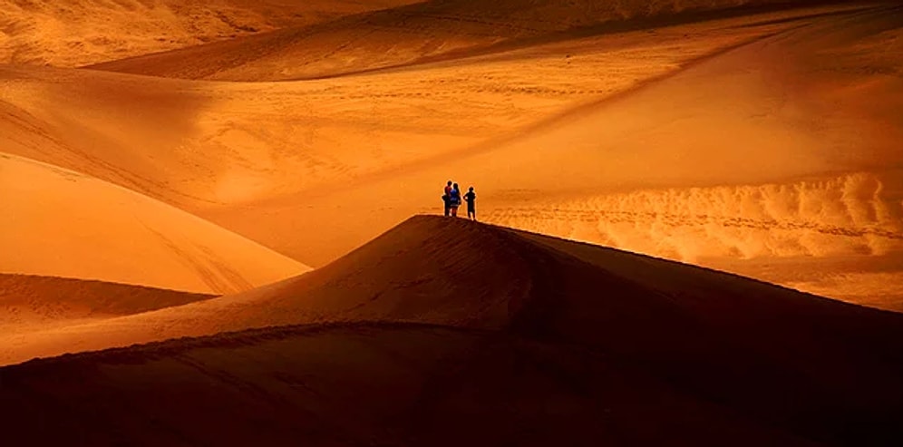 Эти 24 снимка с конкурса National Geographic 2016 обязательно оставят след в вашей памяти