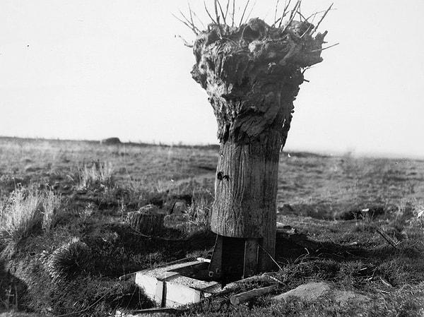 10. Birinci Dünya Savaşı sırasında gözetleme amacıyla kullanılan sahte bir ağaç, 1917.