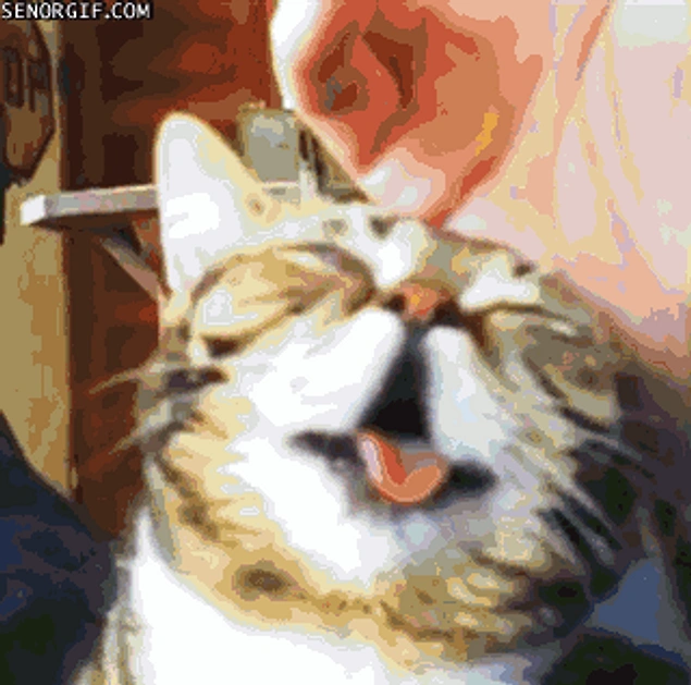 Gif Кайф