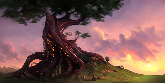 10 самых старых деревьев на свете