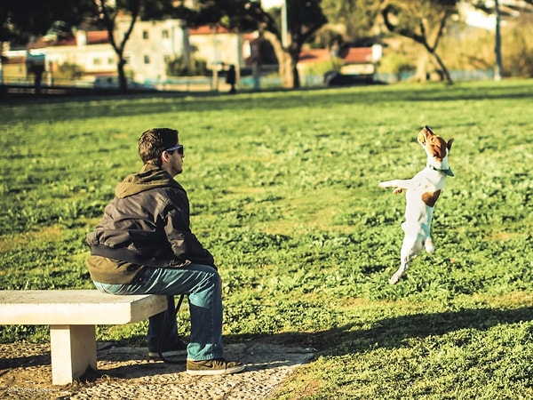 8. Ученые выяснили, что парни с маленькими собаками более привлекательны в глазах многих девушек.