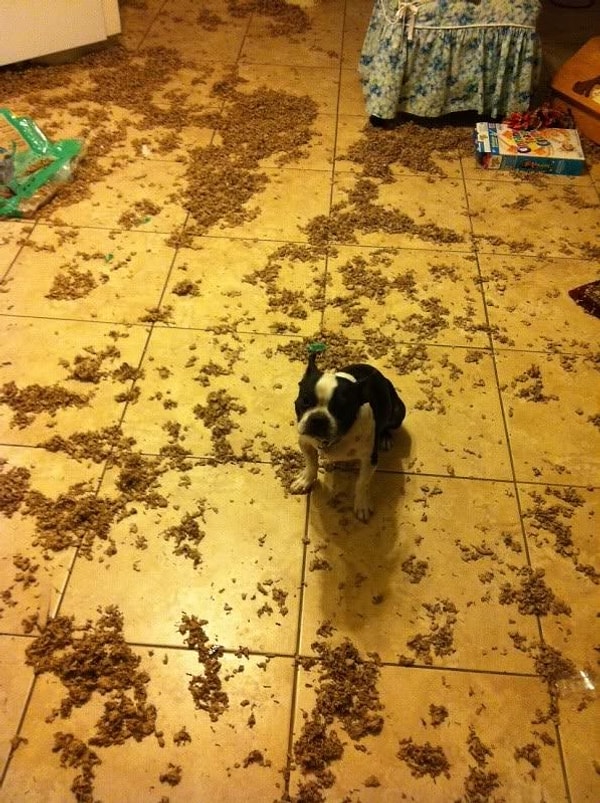 1. "Ужин с меня!"