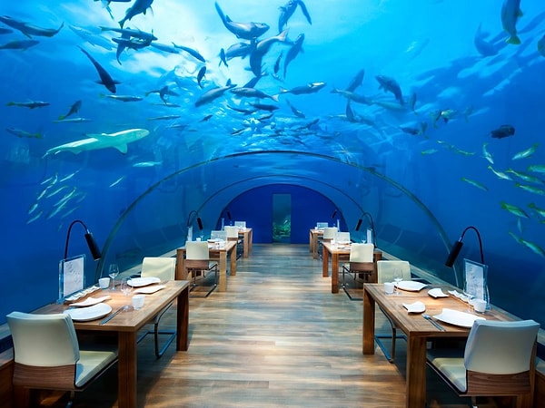 17. Conrad Maldives Rangali Island, Индийский океан
